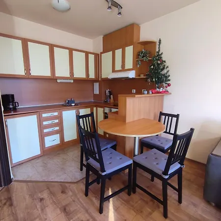 Apartament Snow Mountain View *